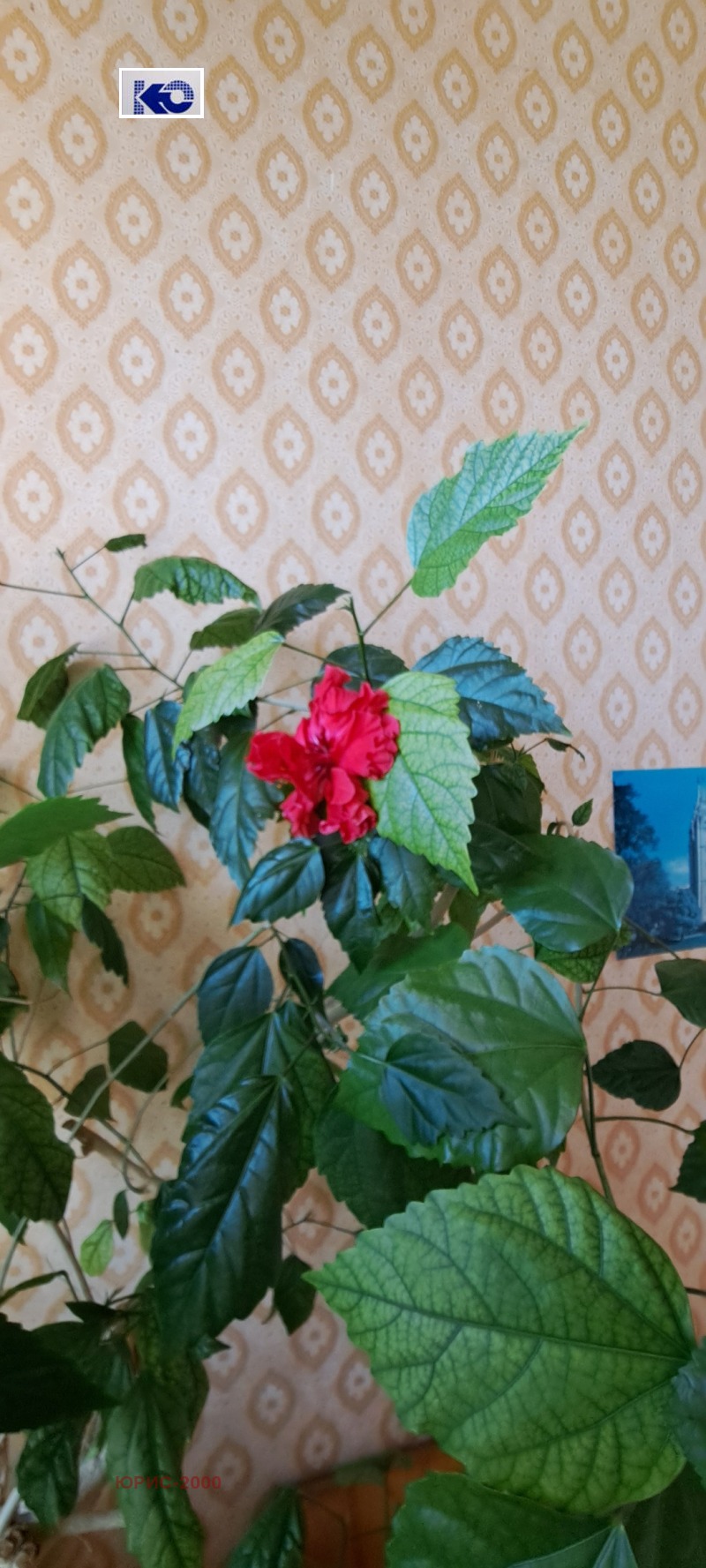 Продава  2-стаен град Пловдив , Кършияка , 61 кв.м | 17244666 - изображение [4]
