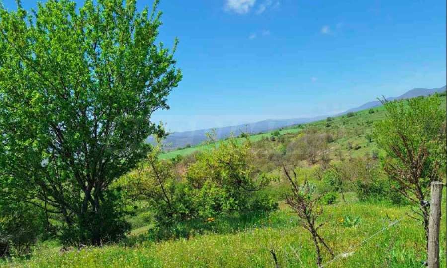 ������� ������ | Imot.bg � ����������� 6