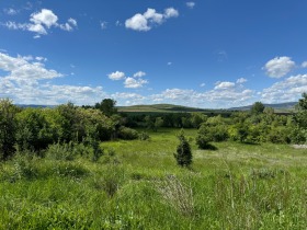 Парцел с. Долни Раковец, област Перник 16