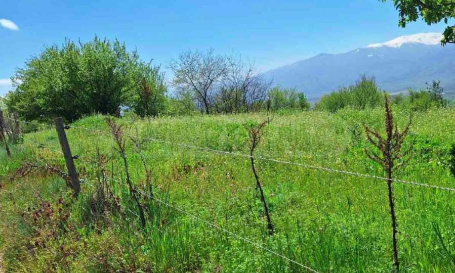 Продава ПАРЦЕЛ, с. Горна Василица, област София област, снимка 3 - Парцели - 54454921