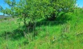 Продава ПАРЦЕЛ, с. Горна Василица, област София област, снимка 7