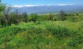 Продава ПАРЦЕЛ, с. Горна Василица, област София област, снимка 1
