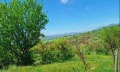 Продава ПАРЦЕЛ, с. Горна Василица, област София област, снимка 6