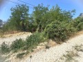 Продава ПАРЦЕЛ, град Варна, Изгрев • 50000 € • 53342512 — Holmes.bg