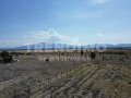 Продава ПАРЦЕЛ, град София, с. Волуяк • 115000 € • 21334357 — Holmes.bg