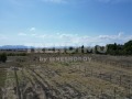 Продава ПАРЦЕЛ, град София, с. Волуяк • 115000 € • 21334357 — Holmes.bg