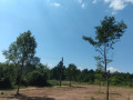 Продава  Парцел град София , с. Подгумер , 600 кв.м | 72377238 - изображение [3]