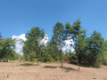 Продава  Парцел град София , с. Подгумер , 600 кв.м | 72377238 - изображение [4]