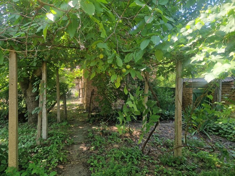 Til salgs  Hus region Pleven , Totleben , 70 kvm | 21953288 - bilde [7]