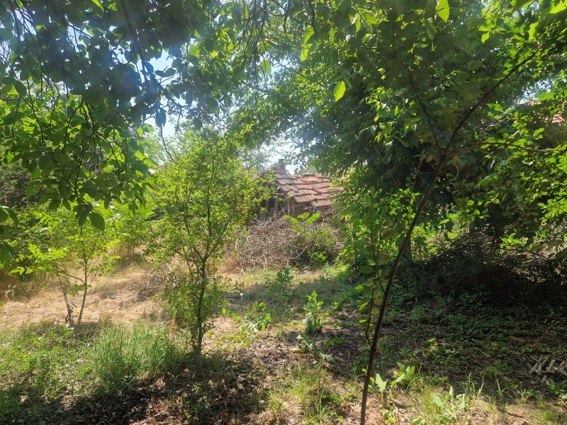 Til salgs  Hus region Pleven , Totleben , 70 kvm | 21953288 - bilde [6]
