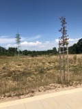 Продава ПАРЦЕЛ, град София, Горубляне • 259000 € • 36493544 — Holmes.bg