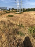 Продава ПАРЦЕЛ, град София, Горубляне • 259000 € • 36493544 — Holmes.bg