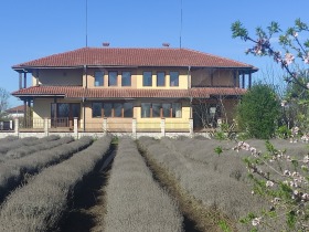 Продажба на имоти в с. Царичино, област Добрич - изображение 13 