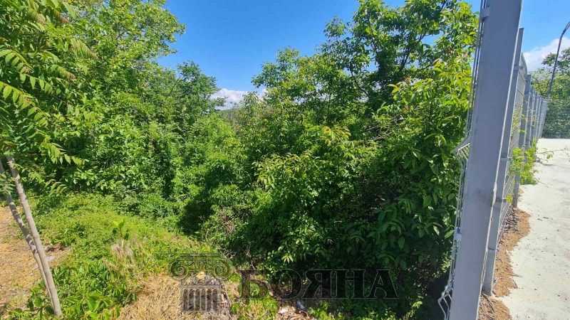 Προς πώληση  Οικόπεδο Ρυσε , β.ζ. Ρυσοφηλη , 2000 τ.μ | 73298245 - εικόνα [4]