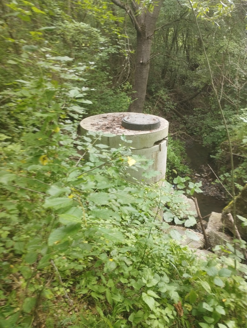 Til salg  Grund Sofia , Malo Buchino , 9125 kvm | 47492856 - billede [7]