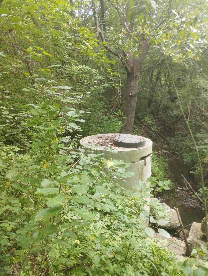 Til salg  Grund Sofia , Malo Buchino , 9125 kvm | 47492856 - billede [8]