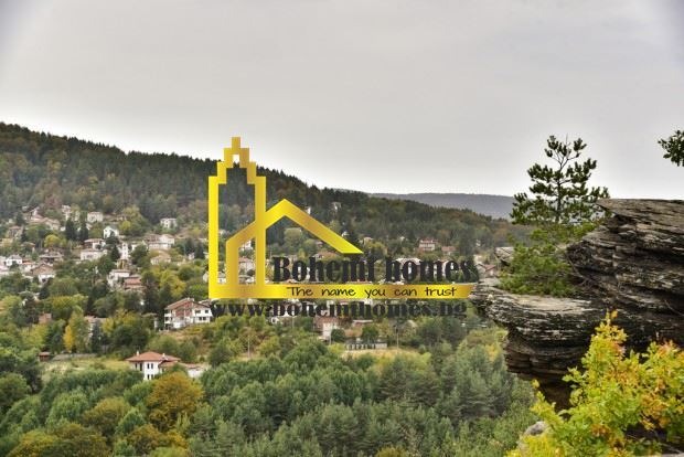 Продава ПАРЦЕЛ, с. Бойково, област Пловдив, снимка 4 - Парцели - 54548701