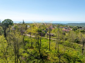 ������� ������ | Imot.bg � ����� ������ 12