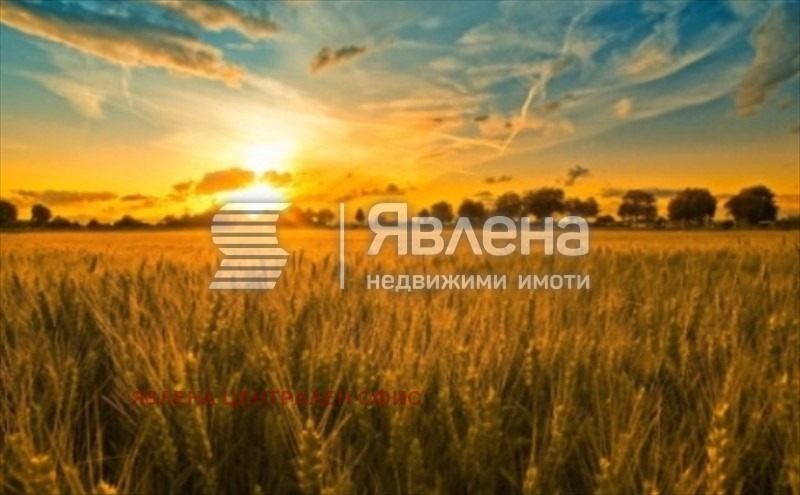 Продава ПАРЦЕЛ, с. Копаница, област Перник, снимка 3 - Парцели - 53687262