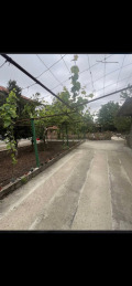 Продава КЪЩА, с. Плачидол, област Добрич, снимка 2