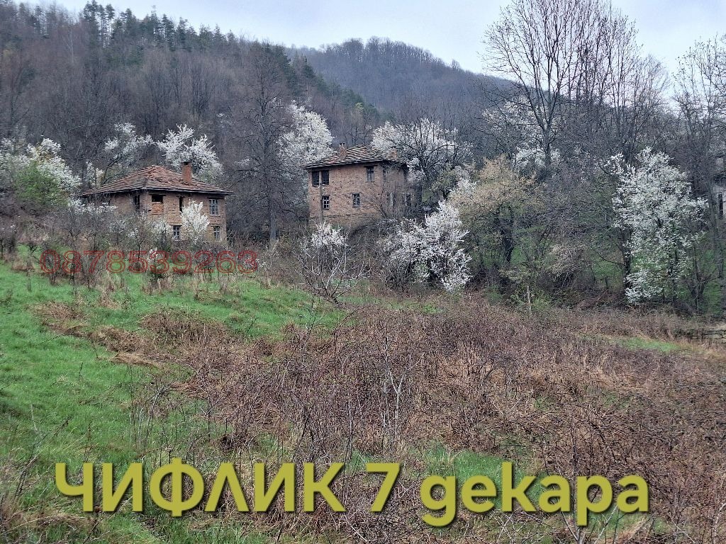 ������� ���� | Imot.bg � ����������� 1