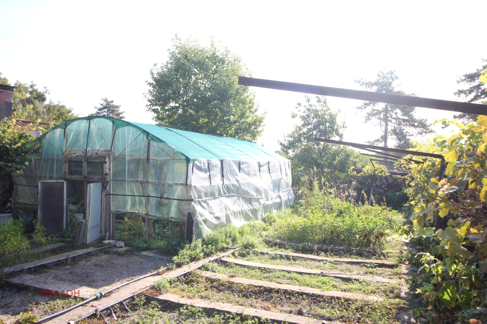 ������� ���� | Imot.bg � ����������� 17