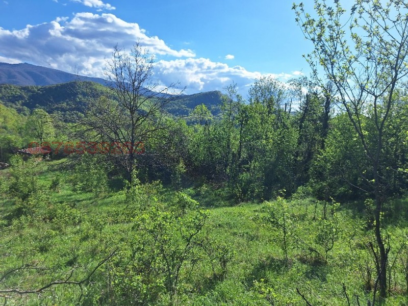 Продава КЪЩА, с. Зеленик, област Велико Търново, снимка 17 - Къщи - 52779319