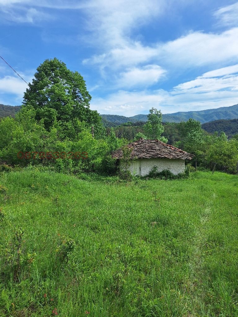 Продава КЪЩА, с. Зеленик, област Велико Търново, снимка 12 - Къщи - 52779319