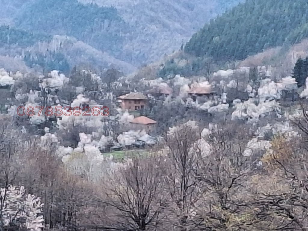 Продава КЪЩА, с. Зеленик, област Велико Търново, снимка 16 - Къщи - 54664426