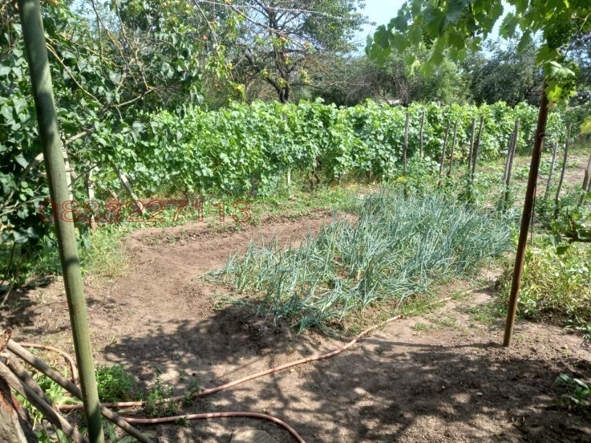 Продава ВИЛА, гр. Вълчи дол, област Варна, снимка 2 - Вили - 53962541