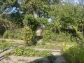 Продава КЪЩА, гр. Мартен, област Русе, снимка 4