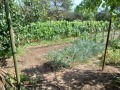 Продава  Вила област Варна , гр. Вълчи дол , 40 кв.м | 86449030 - изображение [6]