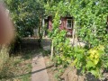 Продава  Вила област Варна , гр. Вълчи дол , 40 кв.м | 86449030