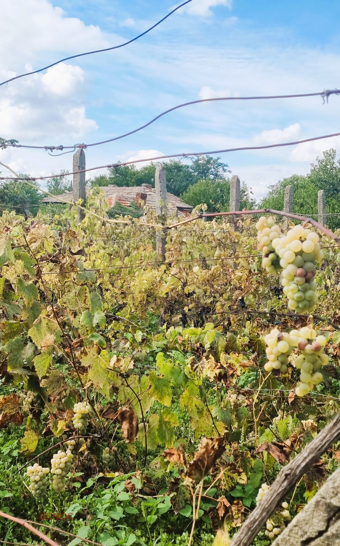 ������� ���� | Imot.bg � ����������� 12