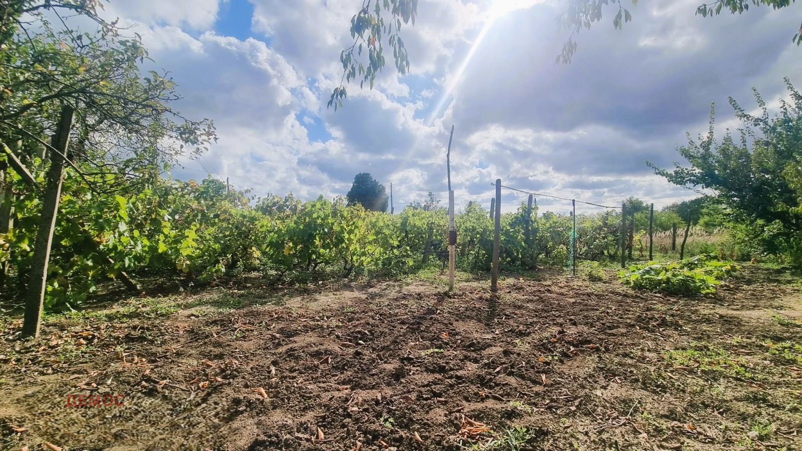 ������� ���� | Imot.bg � ����������� 2