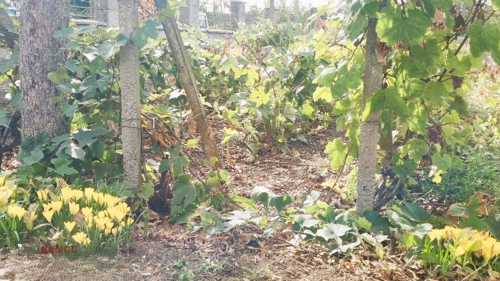 ������� ���� | Imot.bg � ����������� 9