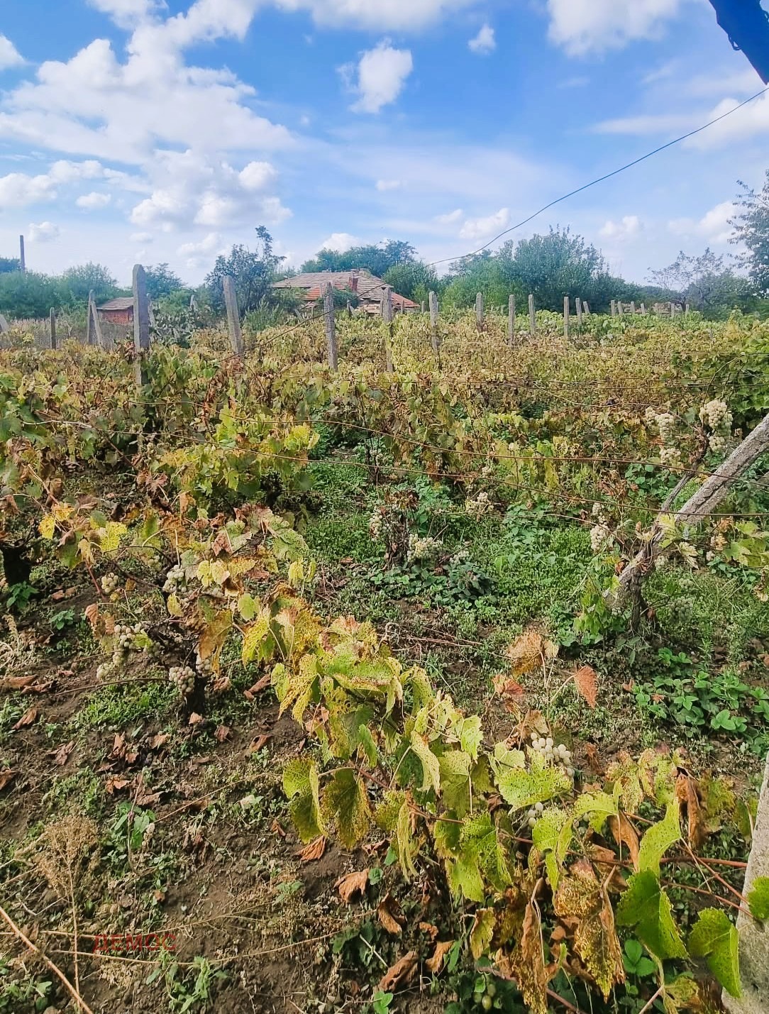 ������� ���� | Imot.bg � ����������� 6