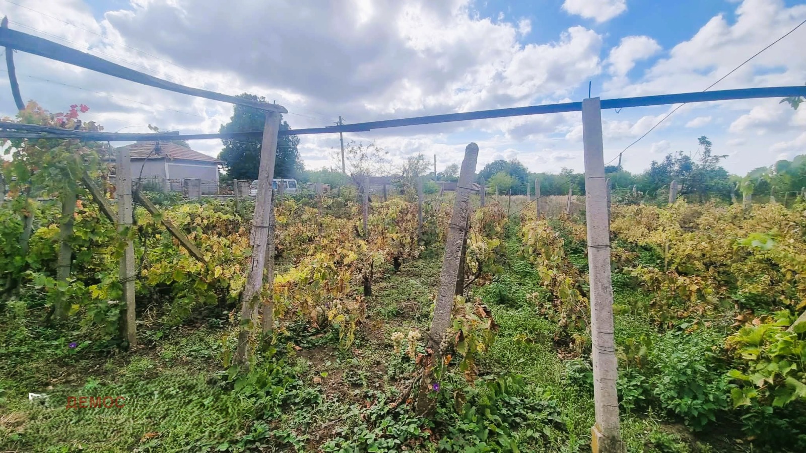 ������� ���� | Imot.bg � ����������� 13