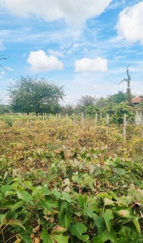 ������� ���� | Imot.bg � ����� ������ 10