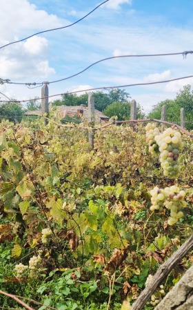 ������� ���� | Imot.bg � ����� ������ 12