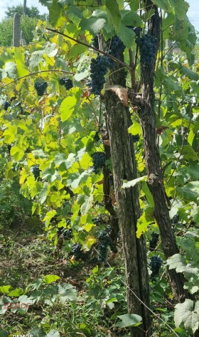 ������� ���� | Imot.bg � ����� ������ 16