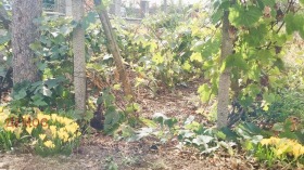 ������� ���� | Imot.bg � ����� ������ 9