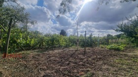 ������� ���� | Imot.bg � ����� ������ 11