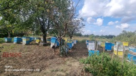 ������� ���� | Imot.bg � ����� ������ 4