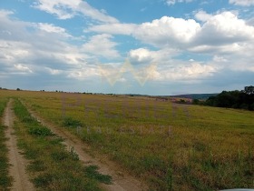 Земеделска земя с. Аврен, област Варна 1