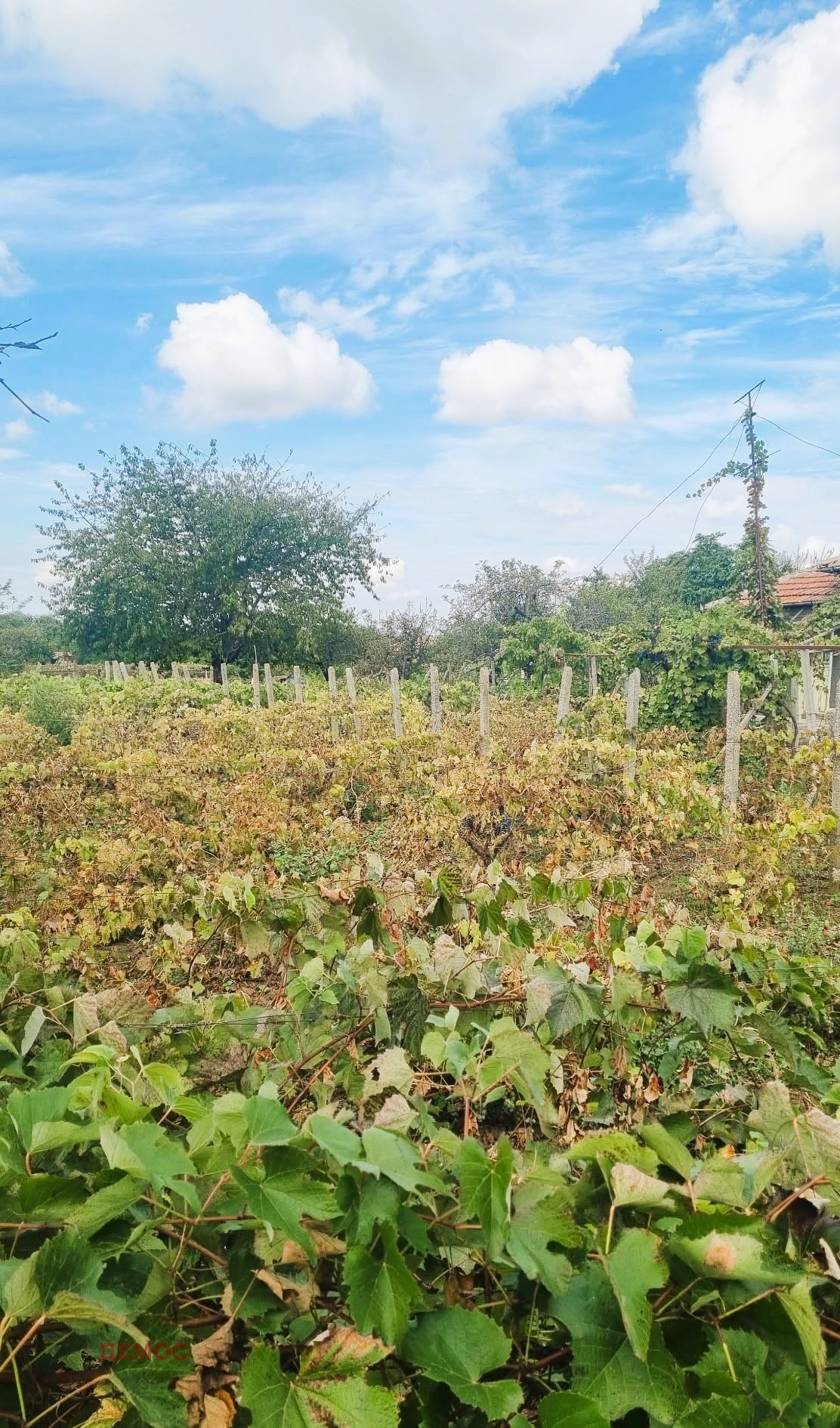 Продава КЪЩА, с. Белгун, област Добрич, снимка 9 - Къщи - 54079814