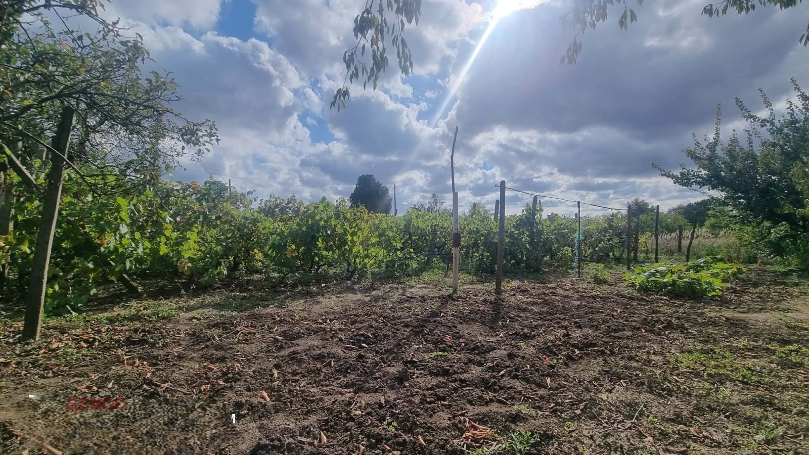 Продава КЪЩА, с. Белгун, област Добрич, снимка 10 - Къщи - 54079814