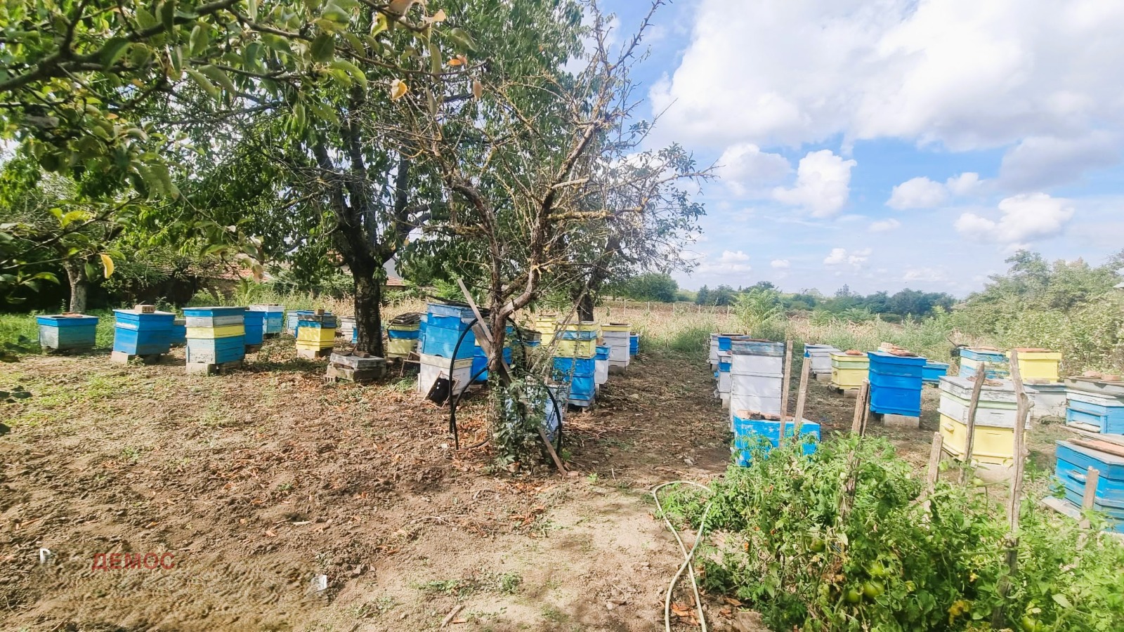 Продава КЪЩА, с. Белгун, област Добрич, снимка 13 - Къщи - 54079814