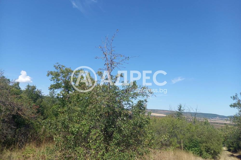Продава ПАРЦЕЛ, с. Кранево, област Добрич, снимка 3 - Парцели - 54716294