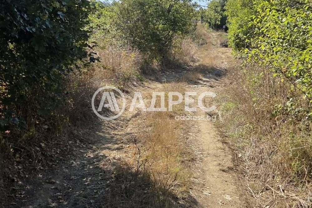 Продава ПАРЦЕЛ, с. Кранево, област Добрич, снимка 4 - Парцели - 54716294